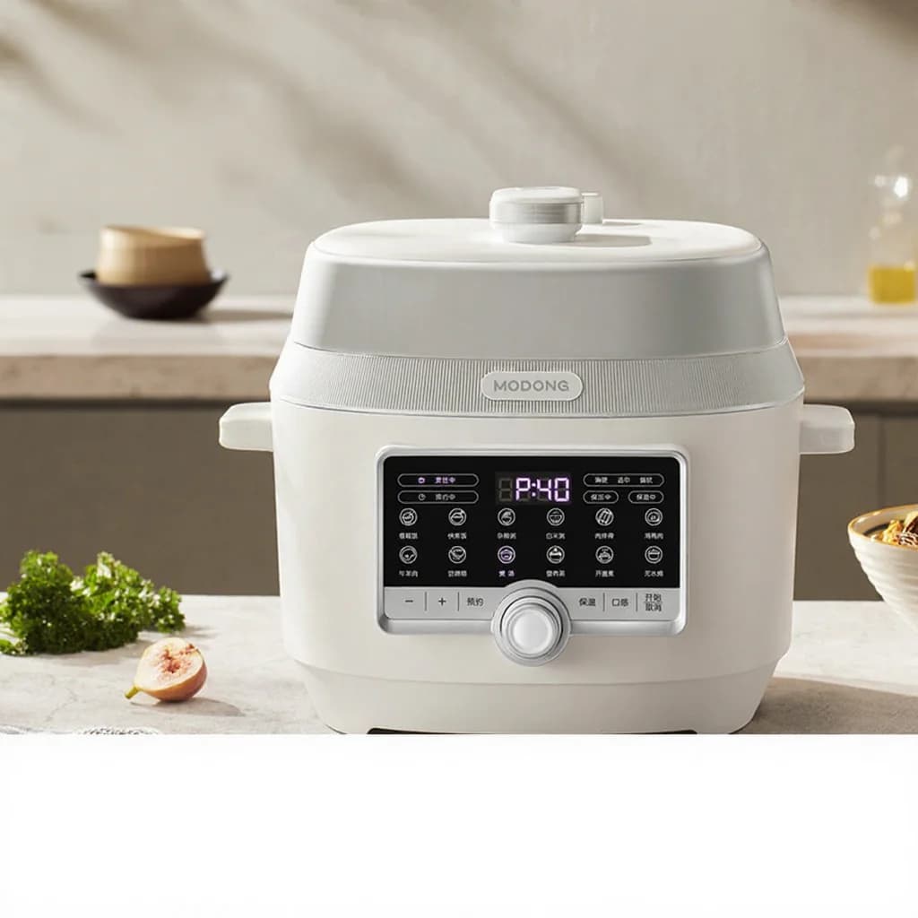 Oală sub presiune electrică 5L cu două vase interioare