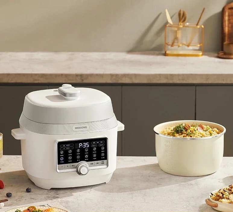 Oală sub presiune electrică 5L cu două vase interioare