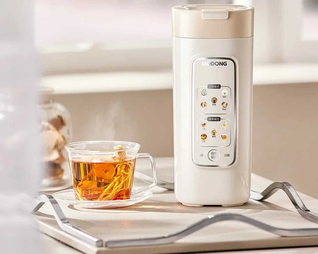 Cană electrică portabilă pentru încălzirea apei cu filtru, 220V